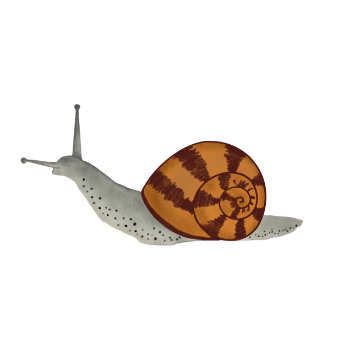 snail